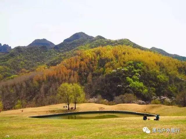 非四川户口能在当地报考教师资格证考试吗？